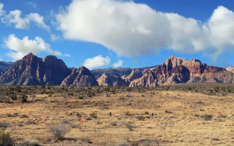 Red Rock Canyon landscape in Nevada