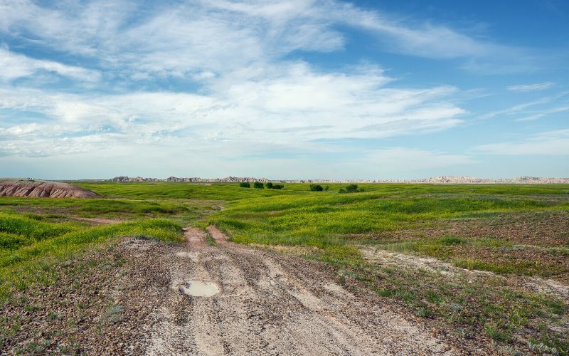 Buffalo Gap National Grasslands near Sleepy Hollow Campground, South Dakota 