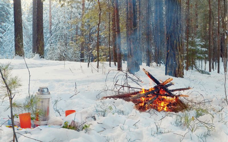 Campfire and flask in a snowy forest