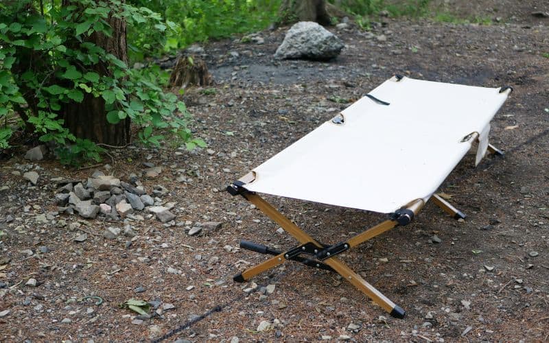 Camping cot set up in a forest