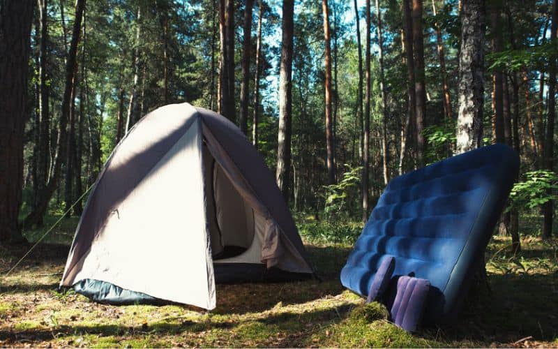 Camping mattress propped up against tree next to tent in forest