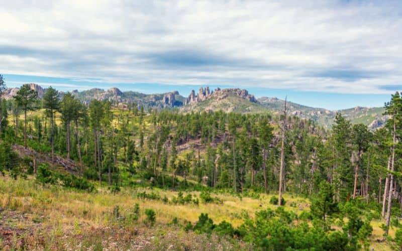 Cathedral Spires in Custer State Park, South Dakota