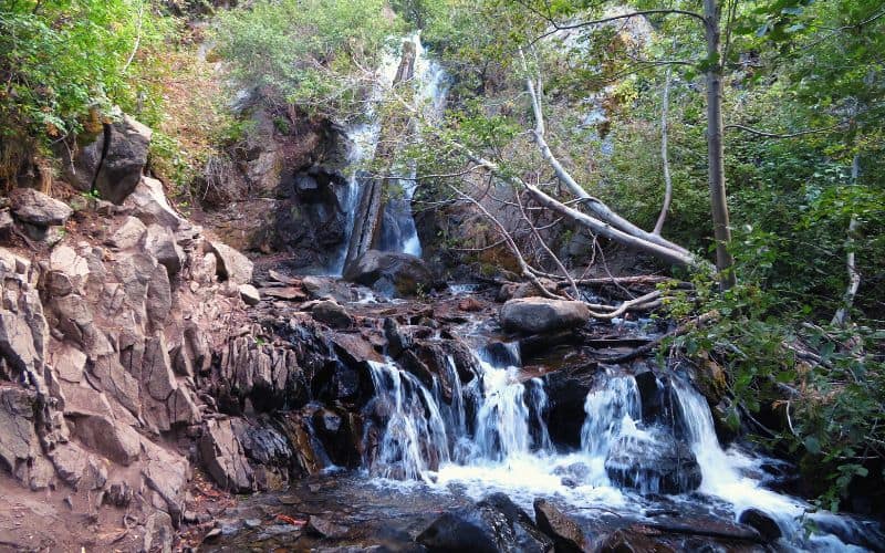 Hunter Creek Trail, Humboldt-Toiyabe National Forest