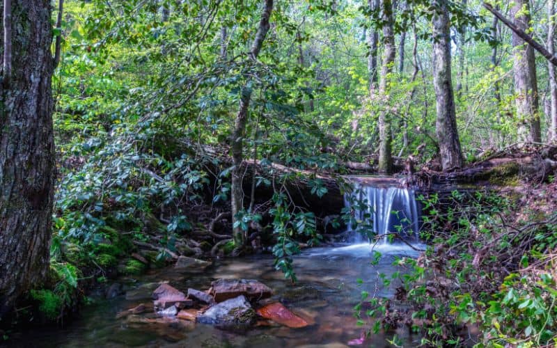 Lost Falls Trail, DeSoto State Park, Alabama