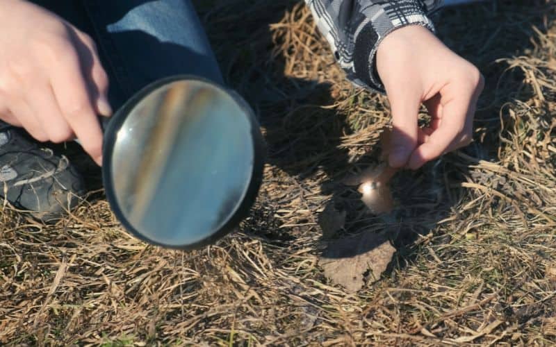 Magnifying glass being used to focus the sun on dry grass to start a fire