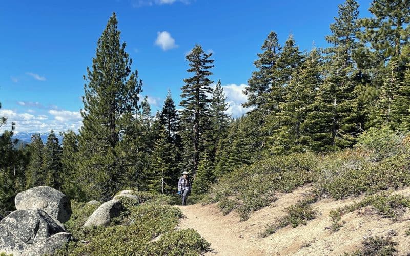 Marlette Lake Trail, Nevada