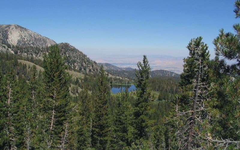 Mount Rose Trail, Mount Rose Wilderness, Nevada