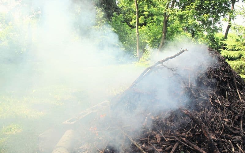 Pile of wet wood smoking after being lit (SS)