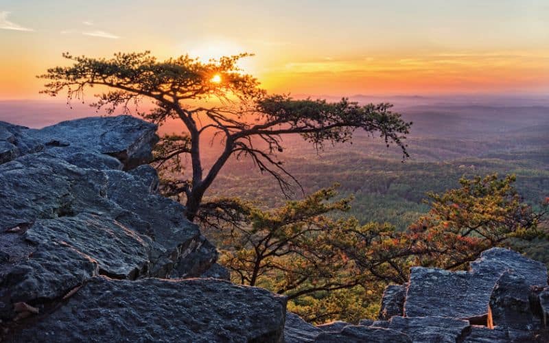 Pulpit Rock, Cheaha State Park