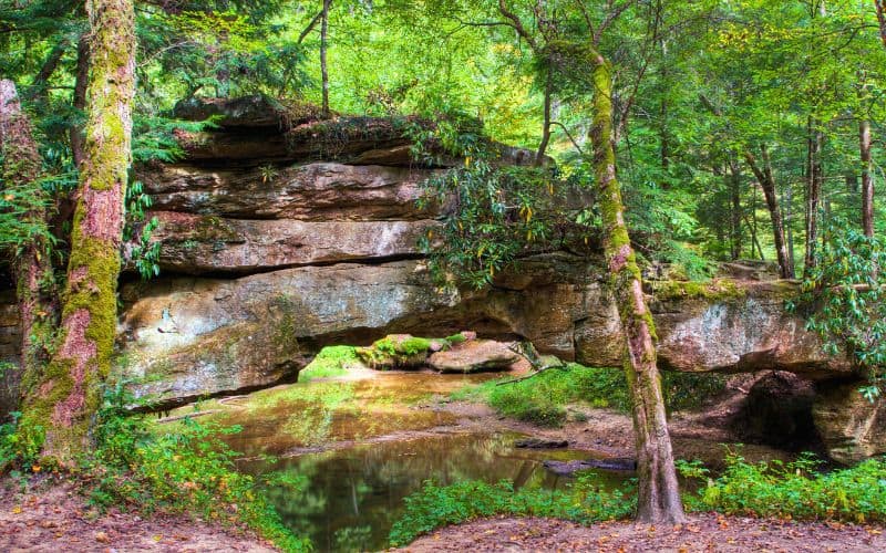 Rock Bridge over Swift Camp Creek, Rock Bridge Trail, Red River Gorge, Kentucky