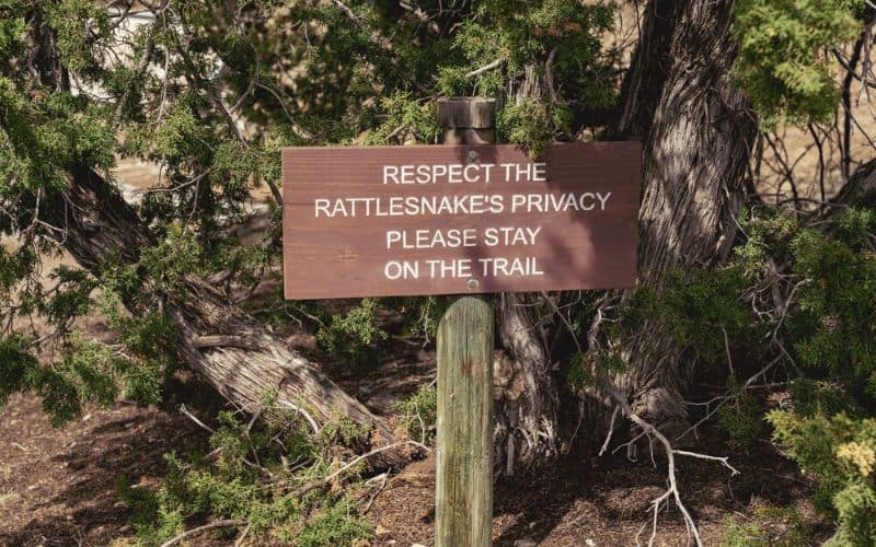 Sign warning of rattlesnakes in the area 