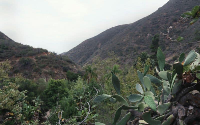 Solstice Canyon Trail & Rising Sun Trail