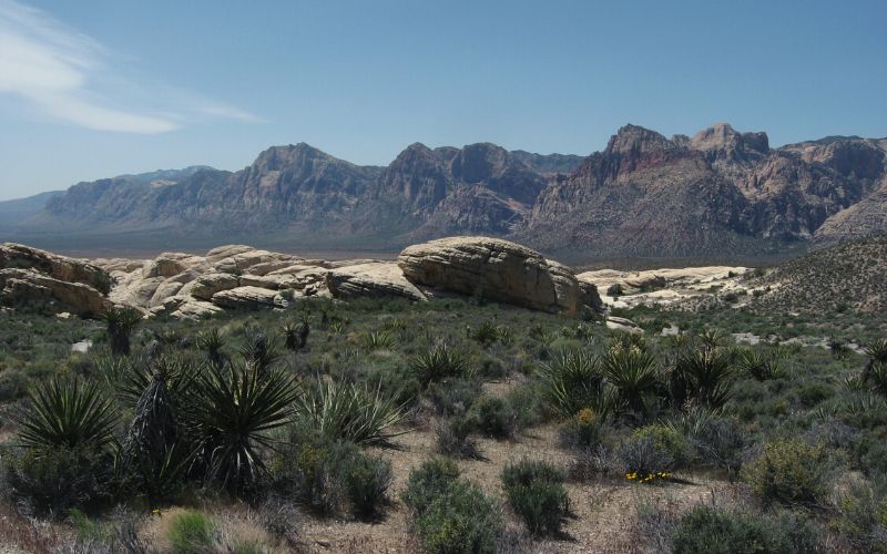 Turtlehead Peak, Red Rock Canyon National Conservation Area