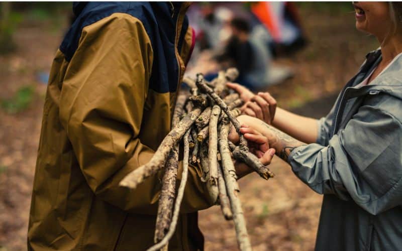 Two campers collecting firewood in a forest