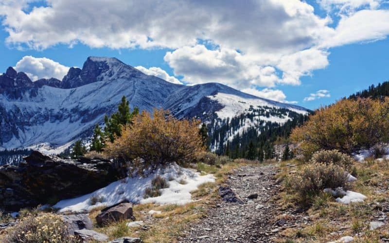 View from Wheeler Peak Trail, Great Basin National Park