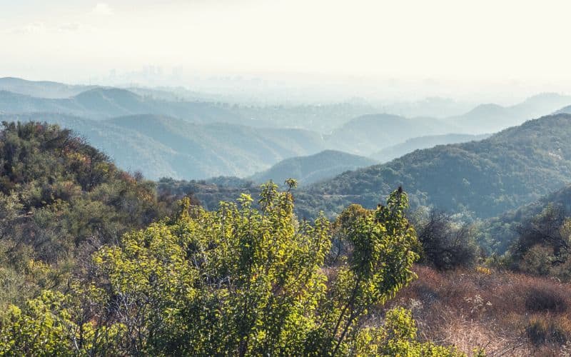 View of L.A. from Temescal Trail, Topanga State Park