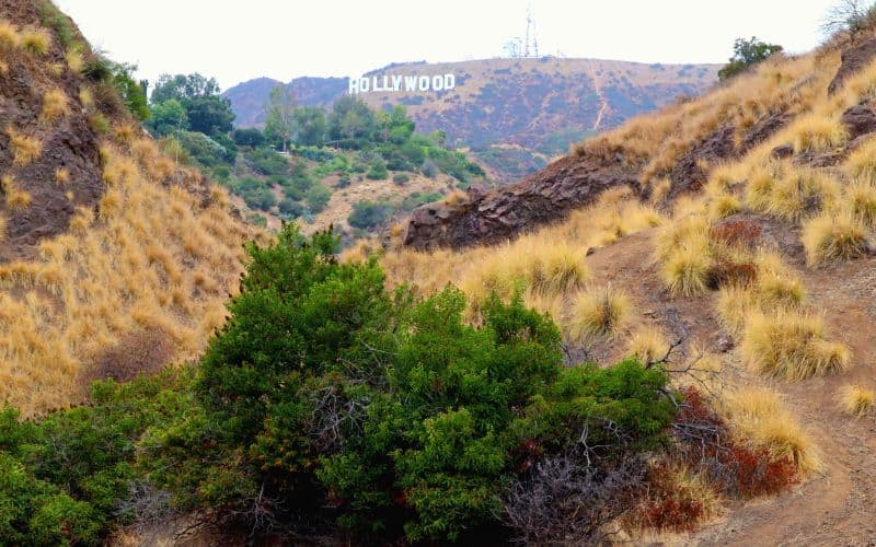 View of the Hollywood sign on an L.A. hiking trail