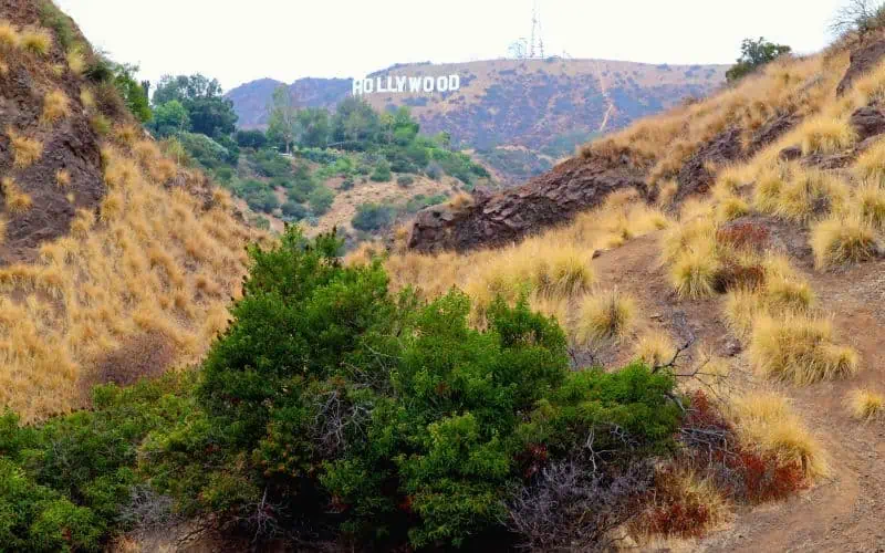 View of the Hollywood sign on an L.A. hiking trail