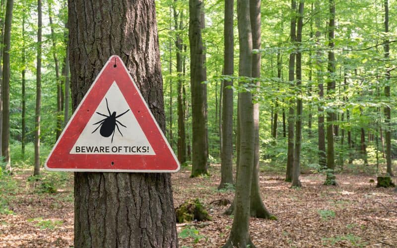 Beware of ticks sign in a forest