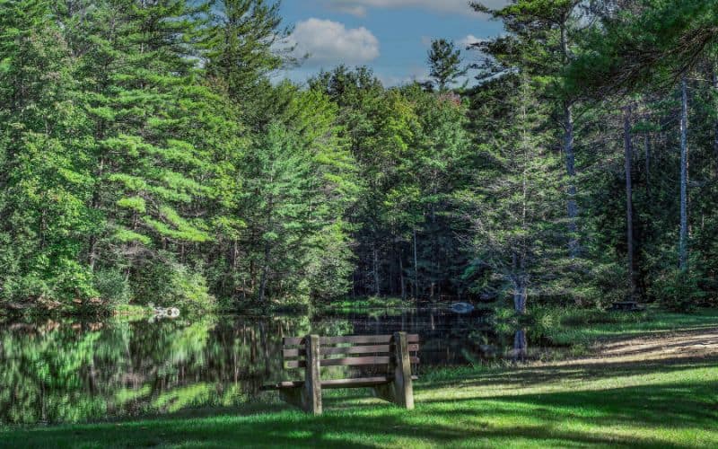 Beaman Pond, Otter River State Park, Massachusetts