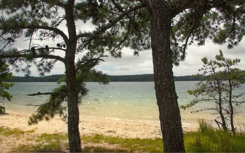 Cliff Pond, Nickerson State Park, Massachusetts 