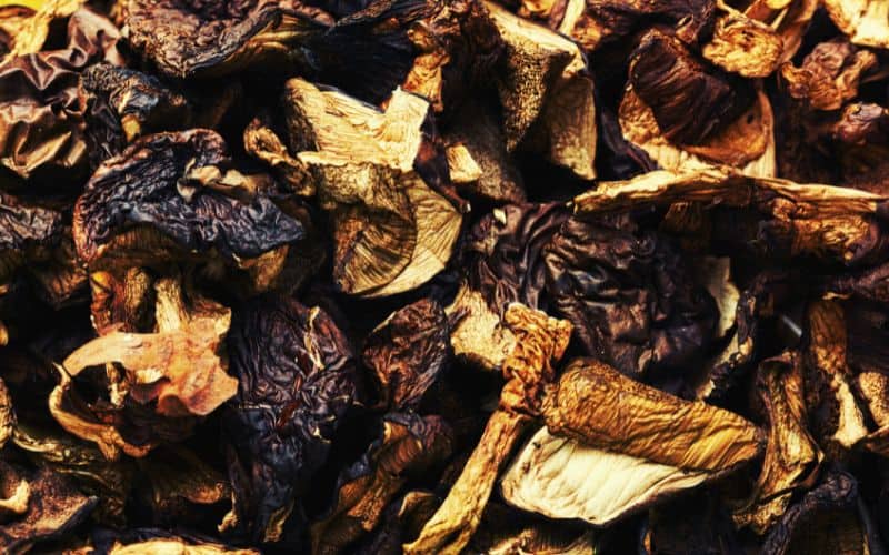 Close up of dehydrated mushrooms