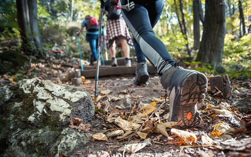 Close up of the boots of a trio of hikers walking up a forest staircase