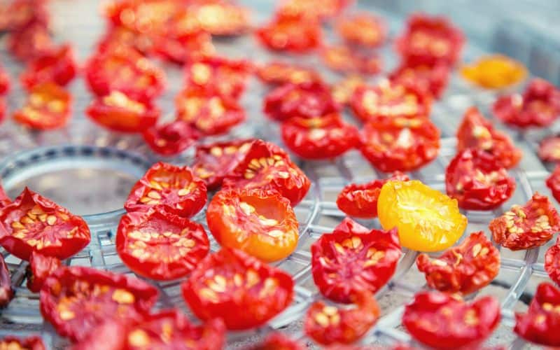 Dehydrated cherry tomatoes in the dehydrator tray