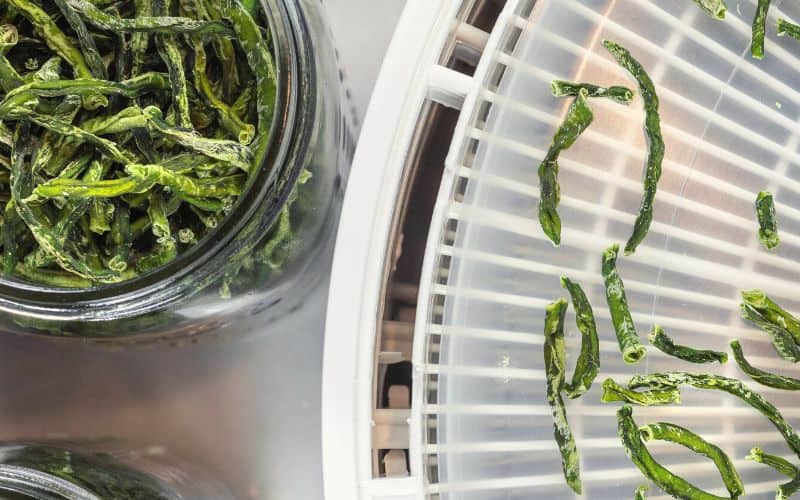 Dehydrated green beans in a dehydrator and mason jars
