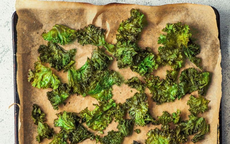 Dehydrated kale laid out over a dehydrating tray