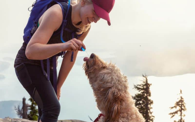Woman giving dog water via the drinking tube of her hydration pack