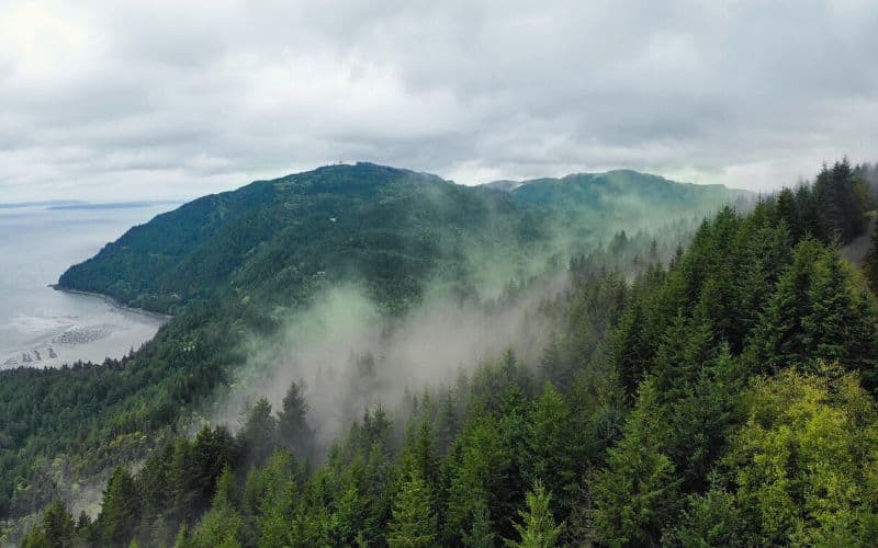 Oyster Dome, Bellingham, Washington