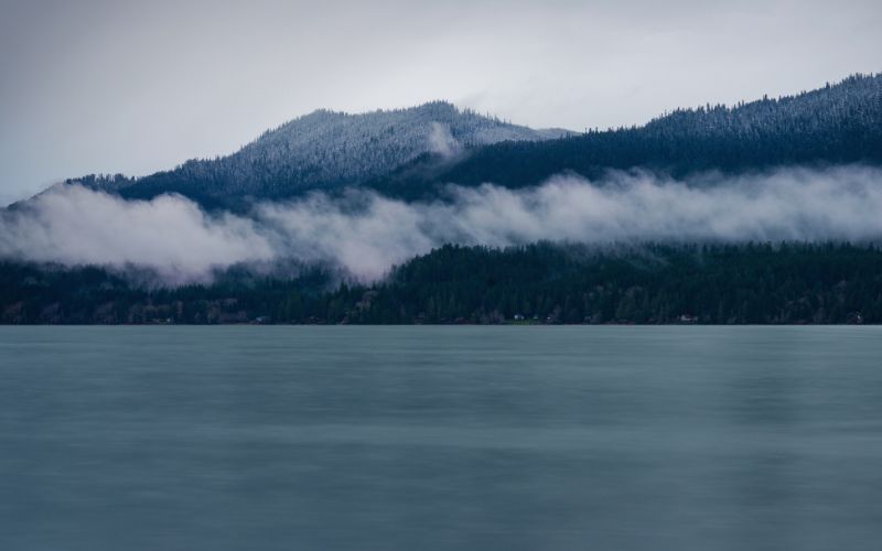 Quinault Loop, Olympic Peninsula, Washington