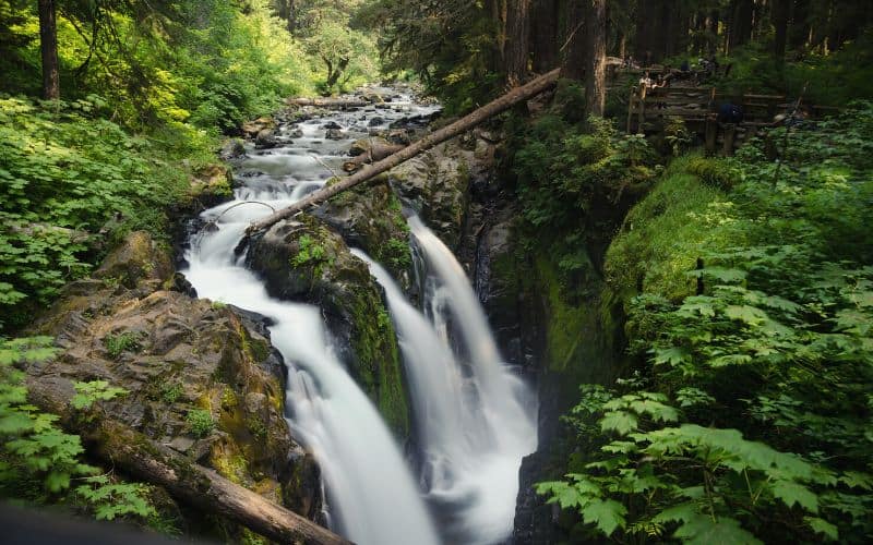 Sol Duc Falls, Olympic National Park, Washington 