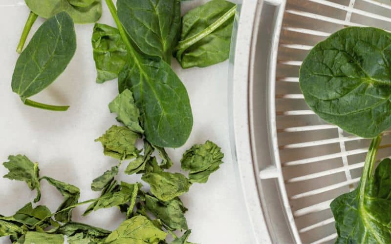 Spinach both raw and dehydrated 