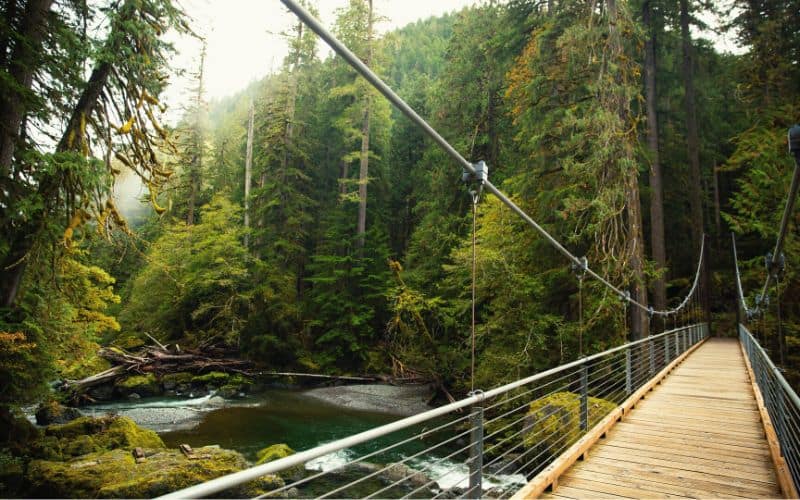 Staircase Rapids, Olympic National Park, Washington