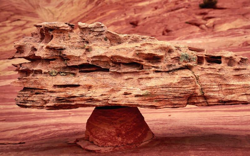 A rock in Fatali’s Boneyard at The Wave, Paria Canyon-Vermilion Cliffs Wilderness
