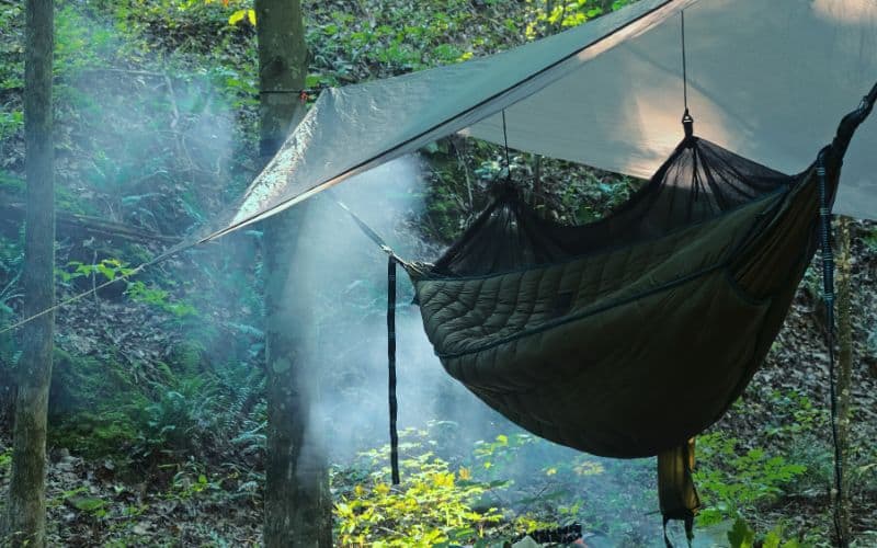 Camping hammock and tarp hung between trees in a forest