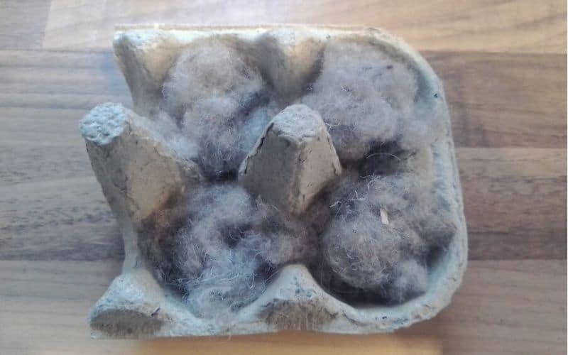 Egg carton filled with lint 