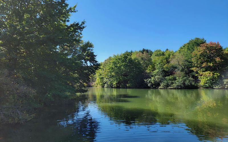 Lake Arthur, Moraine State Park, Pennsylvania 