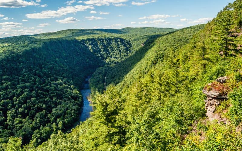 Pine Creek Gorge, Pennsylvania