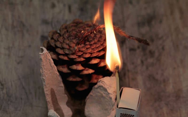 Pine cone in egg carton set on fire with a match
