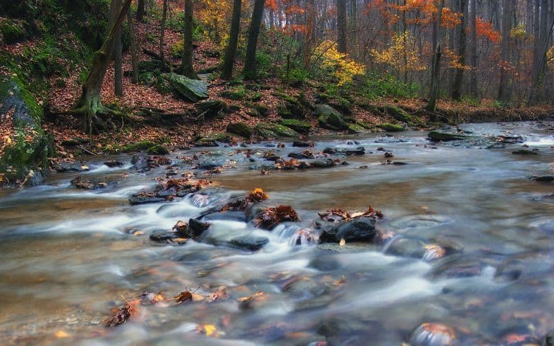 Stewart Run Creek near Quarryville, Pennsylvania