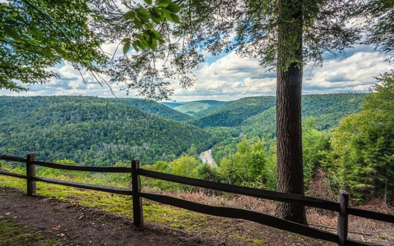 View from Canyon Vista overlook in Worlds End State Park, Pennsylvania