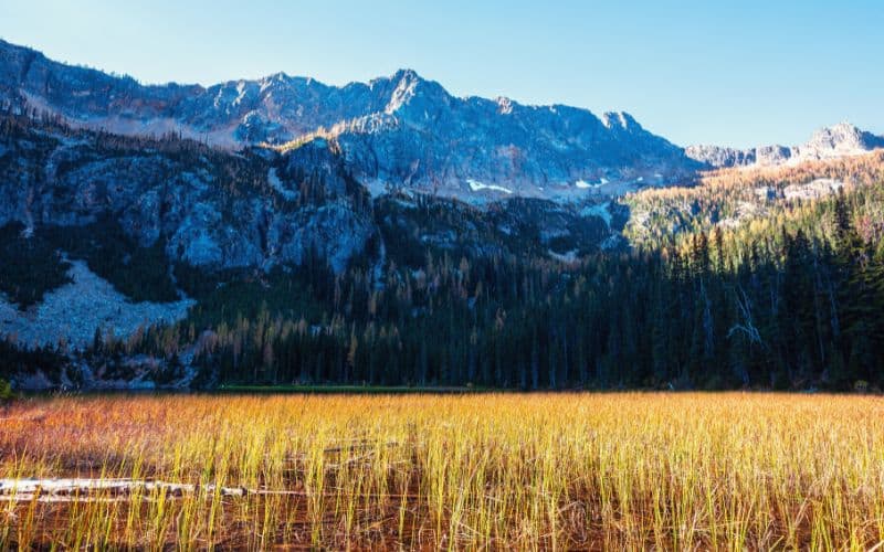 Cutthroat Pass and Cutthroat Lake Trail,  North Cascades National Park, Washington