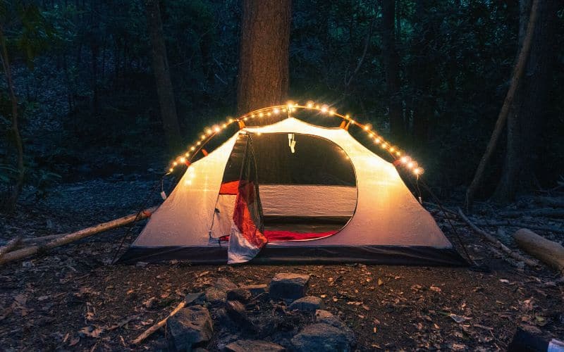 Fairy lights attached to tent poles on pitched tent in the woods
