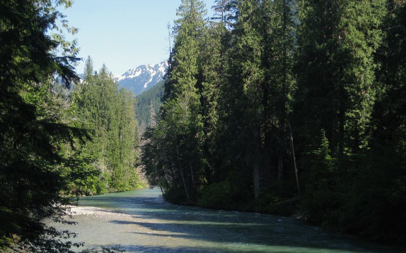 Fourth of July Pass, North Cascades National Park, Washington 