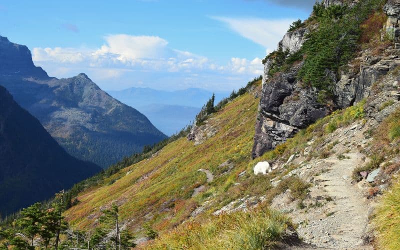 Hidden Lake Trail, North Cascades National Park, Washington 