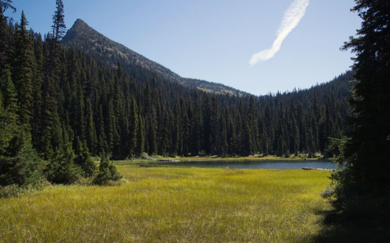 McAlester Loop,  North Cascades National Park, Washington