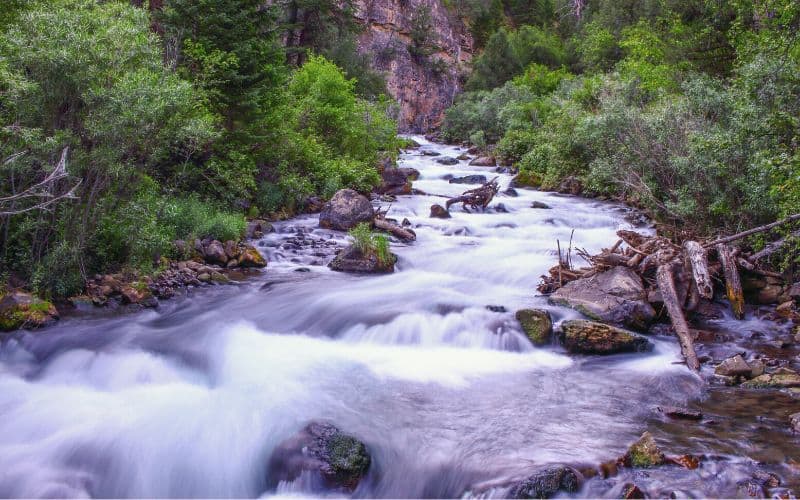 Palisades Creek Trail, Idaho
